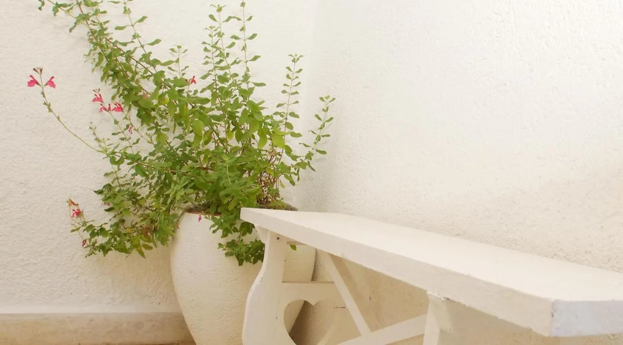 Luna 2 Poreč Apartament